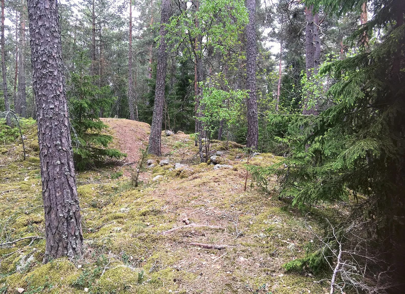 Vy över Järfälla