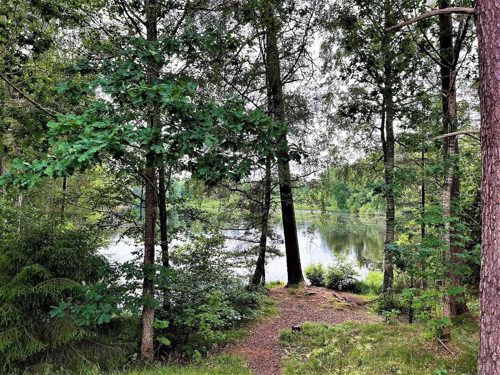 Vy över Vetlanda
